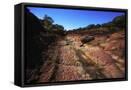 Canvas Black
