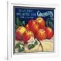 Sebastopol Gravensteins Apple Label - Sonoma, CA-Lantern Press-Framed Art Print