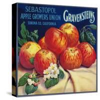 Sebastopol Gravensteins Apple Label - Sonoma, CA-Lantern Press-Stretched Canvas