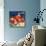 Sebastopol Gravensteins Apple Label - Sonoma, CA-Lantern Press-Art Print displayed on a wall