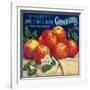 Sebastopol Gravensteins Apple Label - Sonoma, CA-Lantern Press-Framed Art Print