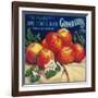 Sebastopol Gravensteins Apple Label - Sonoma, CA-Lantern Press-Framed Art Print