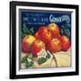 Sebastopol Gravensteins Apple Label - Sonoma, CA-Lantern Press-Framed Art Print