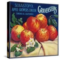 Sebastopol Gravensteins Apple Label - Sonoma, CA-Lantern Press-Stretched Canvas