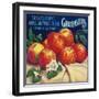 Sebastopol Gravensteins Apple Label - Sonoma, CA-Lantern Press-Framed Art Print