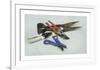 Secateurs and Shears-Henry Koehler-Framed Premium Giclee Print