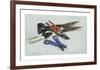 Secateurs and Shears-Henry Koehler-Framed Premium Giclee Print