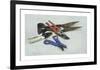 Secateurs and Shears-Henry Koehler-Framed Premium Giclee Print