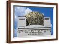 Brown Frame