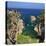 Secluded Cove, Aiguaxelida, Near Palafrugell, Costa Brava, Catalonia, Spain, Mediterranean, Europe-Stuart Black-Stretched Canvas