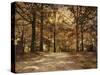 Secluded Entrance-Jai Johnson-Stretched Canvas