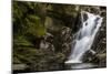 Secluded Falls-Brenda Petrella Photography LLC-Mounted Giclee Print