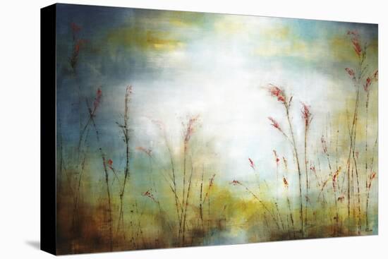 Secluded Field-Rikki Drotar-Stretched Canvas