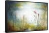 Secluded Field-Rikki Drotar-Framed Stretched Canvas