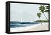 Secluded Palm Beach-Jacob Q-Framed Stretched Canvas