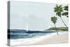 Secluded Palm Beach-Jacob Q-Stretched Canvas