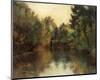 Secluded Pond-Gustav Klimt-Mounted Giclee Print