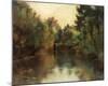 Secluded Pond-Gustav Klimt-Mounted Giclee Print