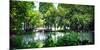 Secluded Stone Bridge Surrounded by Lush Landscape at West Lake, Hangzhou, Zhejiang, China-Andreas Brandl-Mounted Photographic Print