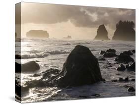 Second Beach and Sea Stacks, Washington-Ethan Welty-Stretched Canvas