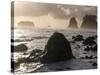 Second Beach and Sea Stacks, Washington-Ethan Welty-Stretched Canvas