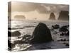 Second Beach and Sea Stacks, Washington-Ethan Welty-Stretched Canvas