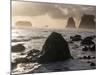 Second Beach and Sea Stacks, Washington-Ethan Welty-Mounted Photographic Print