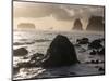 Second Beach and Sea Stacks, Washington-Ethan Welty-Mounted Photographic Print