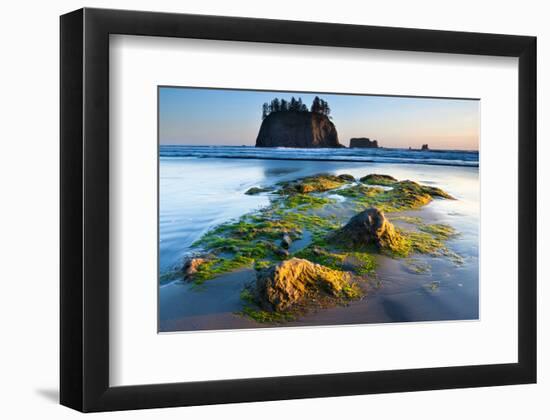 Second Beach at Olympic National Park, Washington, USA-null-Framed Premium Giclee Print