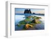 Second Beach at Olympic National Park, Washington, USA-null-Framed Premium Giclee Print