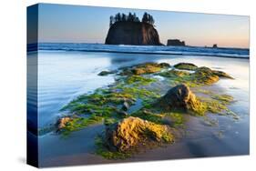 Second Beach at Olympic National Park, Washington, USA-null-Stretched Canvas