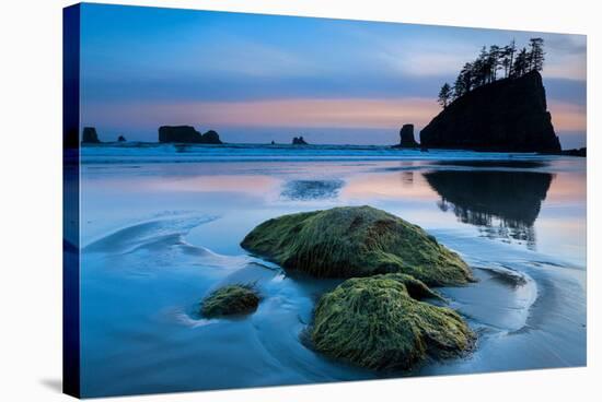 Second Beach at Olympic National Park, Washington, USA-null-Stretched Canvas