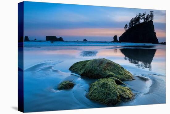 Second Beach at Olympic National Park, Washington, USA-null-Stretched Canvas