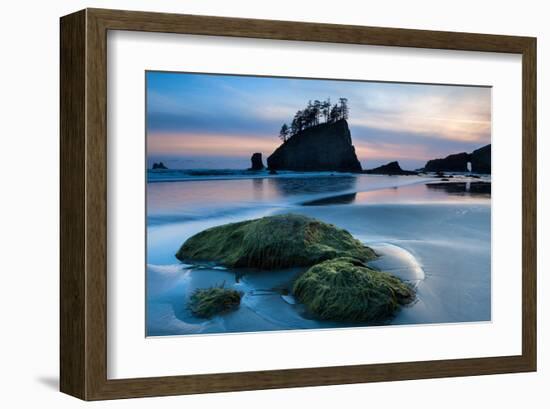 Second Beach at Olympic National Park, Washington, USA-null-Framed Art Print