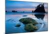 Second Beach at Olympic National Park, Washington, USA-null-Mounted Art Print