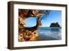 Second Beach at Olympic National Park, Washington, USA-null-Framed Art Print