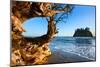 Second Beach at Olympic National Park, Washington, USA-null-Mounted Art Print