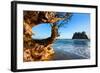 Second Beach at Olympic National Park, Washington, USA-null-Framed Art Print