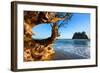 Second Beach at Olympic National Park, Washington, USA-null-Framed Art Print