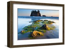 Second Beach at Olympic National Park, Washington, USA-null-Framed Art Print