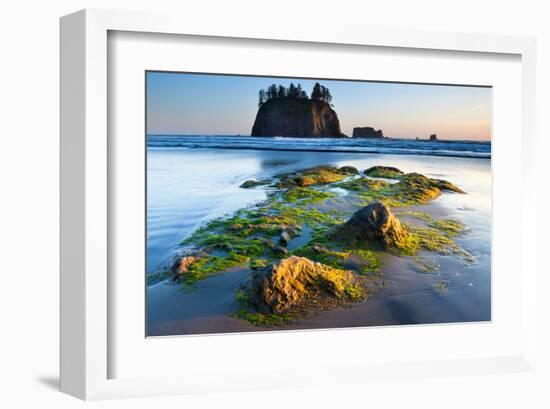 Second Beach at Olympic National Park, Washington, USA-null-Framed Art Print