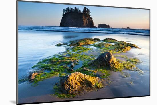 Second Beach at Olympic National Park, Washington, USA-null-Mounted Art Print