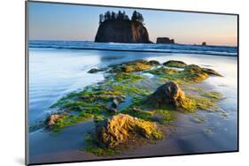 Second Beach at Olympic National Park, Washington, USA-null-Mounted Art Print