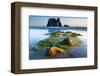 Second Beach at Olympic National Park, Washington, USA-null-Framed Art Print