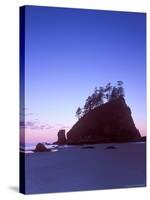 Second Beach Dawn, Olympic National Park, Washington, USA-Rob Tilley-Stretched Canvas