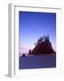 Second Beach Dawn, Olympic National Park, Washington, USA-Rob Tilley-Framed Photographic Print