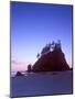 Second Beach Dawn, Olympic National Park, Washington, USA-Rob Tilley-Mounted Photographic Print