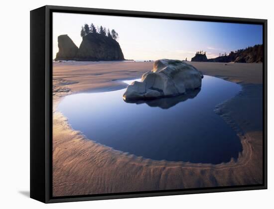 Second Beach, Olympic National Park, Unesco World Heritage Site, Washington State, USA-Colin Brynn-Framed Stretched Canvas