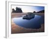 Second Beach, Olympic National Park, Unesco World Heritage Site, Washington State, USA-Colin Brynn-Framed Photographic Print