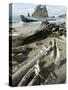 Second Beach, Olympic National Park, Unesco World Heritage Site, Washington State, USA-Ethel Davies-Stretched Canvas